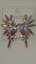CBC Fashion Earings Jewelry