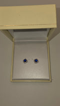 CBC Fashion Earings Jewelry